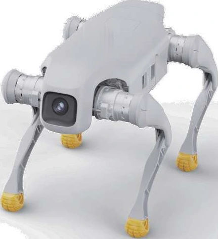 D1 Edu