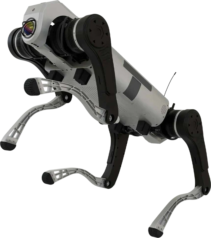 Heavy-Duty Quadruped