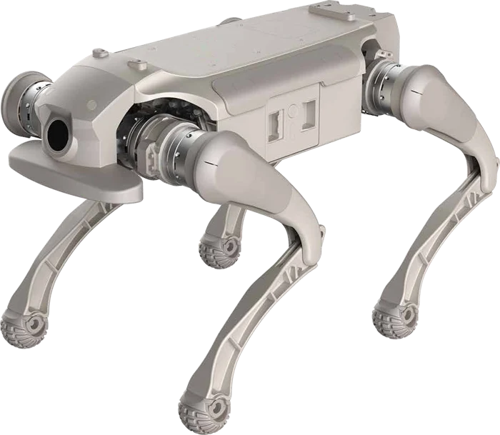 Compact Quadruped